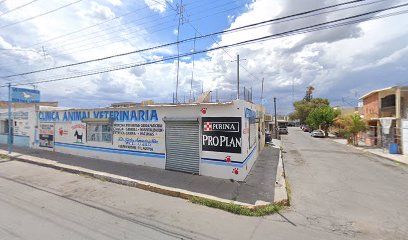 Clinica Animal Veterinaria
