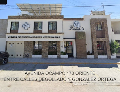 Negocio Clínica De Especialidades Veterinarias French´s Torreón Coahuila