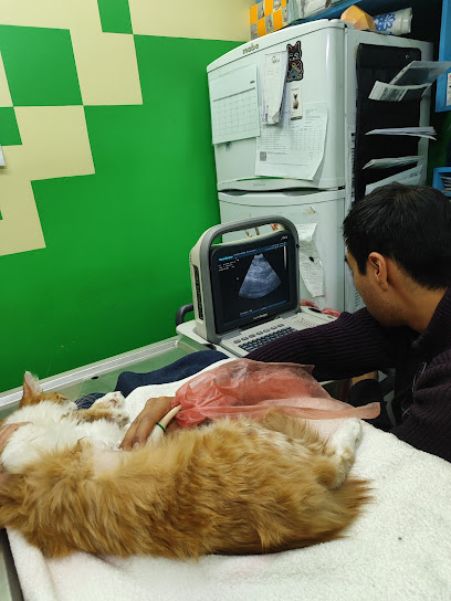 ClĂnica Integral Veterinaria Santa LucĂa