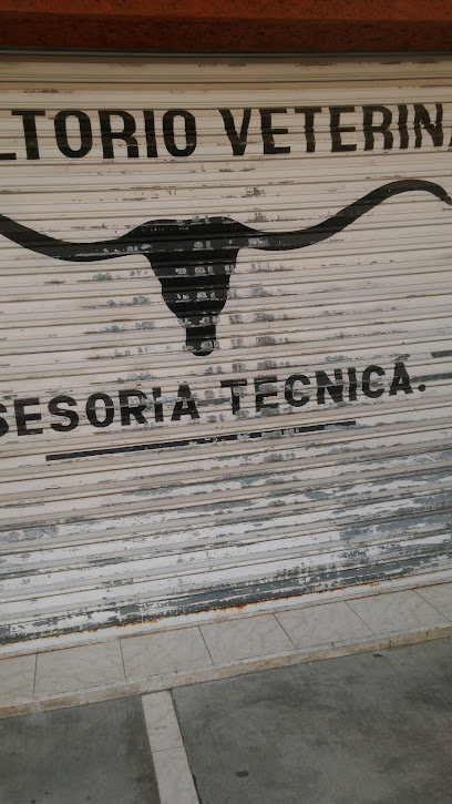 Clinica Veterina &Quot;El Campo&Quot;