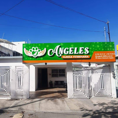 Negocio Clinica Veterinaria Angeles