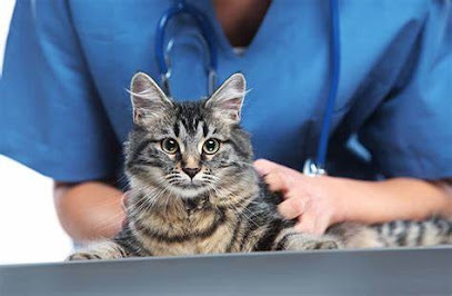 ClĂnica Veterinaria Caramelo
