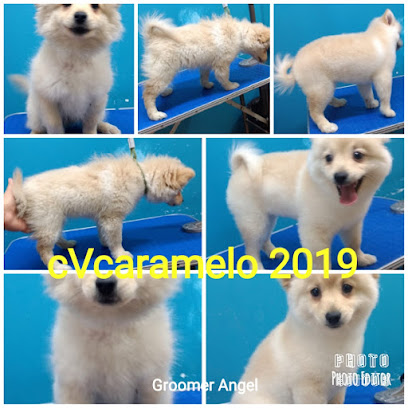 Negocio Clínica Veterinaria Caramelo