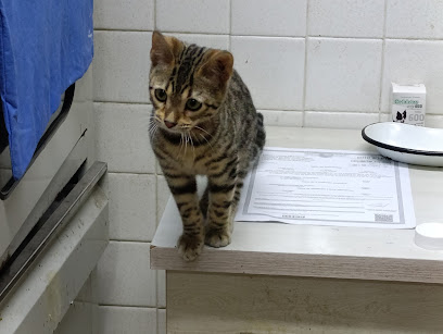 Clínica Veterinaria Del Centro