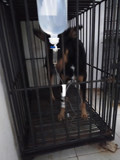 Negocio Clinica Veterinaria Diamond