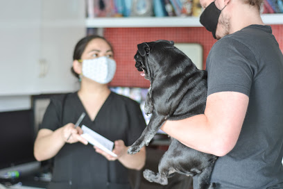 Clínica Veterinaria Dr. Altamirano Vet&Amp;Dog