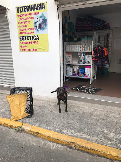 Clínica Veterinaria Easy Pet