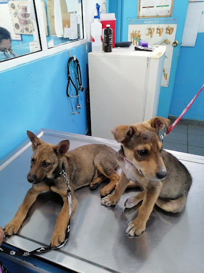 ClĂnica Veterinaria El Arca De NoĂ©
