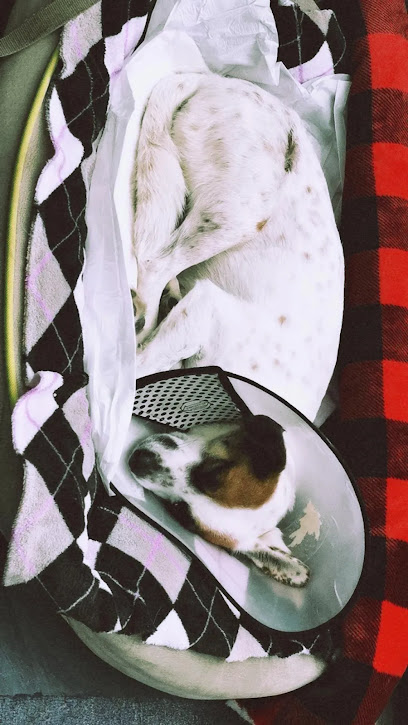 ClĂnica Veterinaria El Dogui