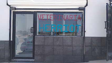 ClĂnica Veterinaria Herriot