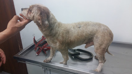 ClĂnica Veterinaria Huellas