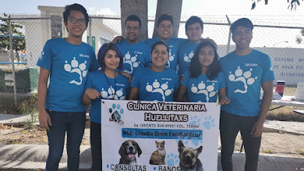 Clínica Veterinaria Huellitaxs
