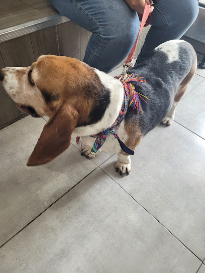 ClĂnica Veterinaria Indra