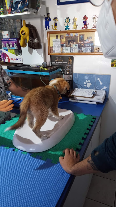 Clínica Veterinaria Katze