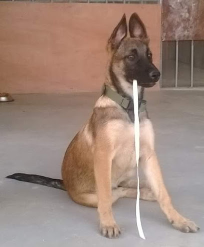ClĂnica Veterinaria La Granja