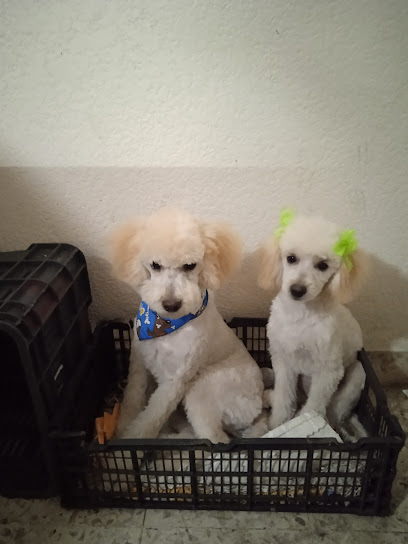 ClĂnica Veterinaria La Palma