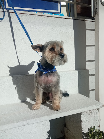 Negocio Clínica Veterinaria La Santé