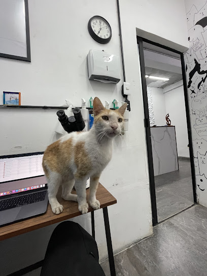 Negocio Clinica Veterinaria Laguna Pets