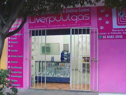 Negocio Clínica Veterinaria Liverpuulgas Y Estetica Canina.