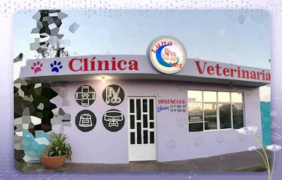 Negocio Clinica Veterinaria Lunavet