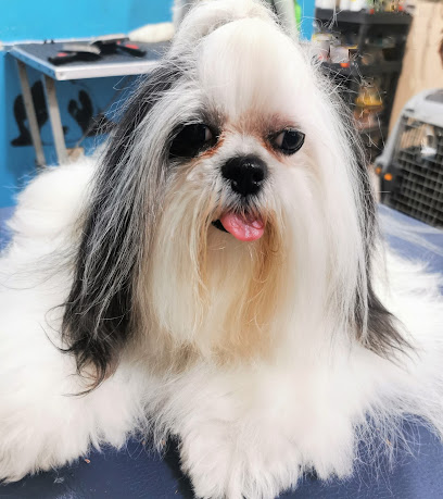 Negocio Clinica Veterinaria Medical Pet Estetica Canina &Amp; Boutique