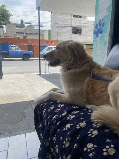 ClĂnica Veterinaria Monet&Apos;S