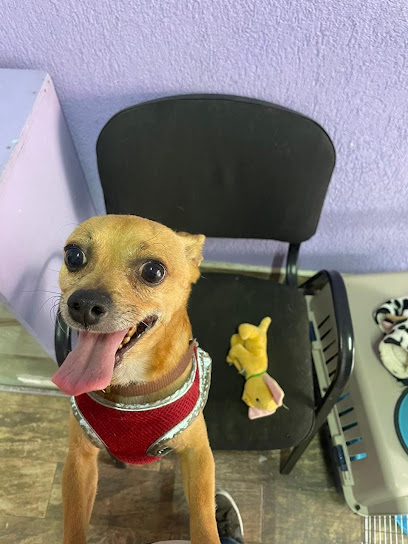 ClĂnica Veterinaria Mundo Mascota