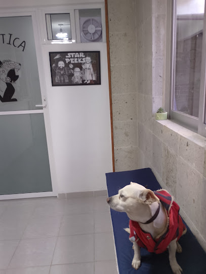 ClĂnica Veterinaria Peeks And Chiens Oriental