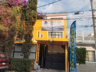 Clinica Veterinaria Perros Y Gatos