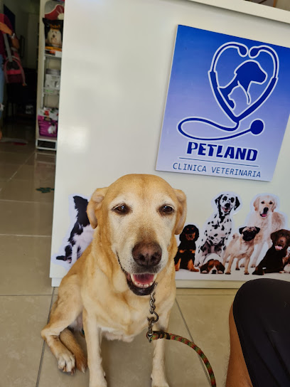 Negocio Clinica Veterinaria Petland
