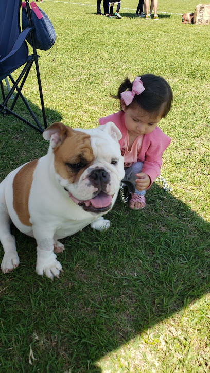 ClĂnica Veterinaria Piedras Negras