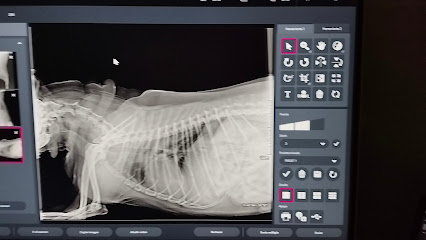 ClĂnica Veterinaria &Quot;Belen&Quot; Zona Animal