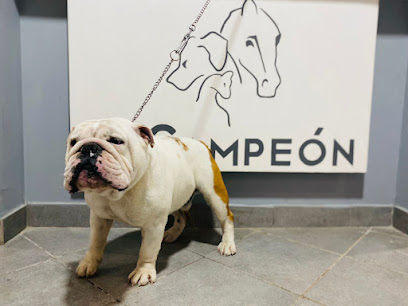 Clínica Veterinaria &Quot;El Campeón&Quot;