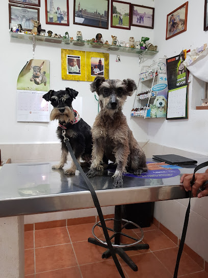 Negocio Clínica Veterinaria Rangel