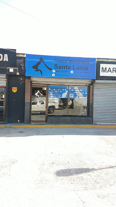 Negocio Clinica Veterinaria Santa Lucia