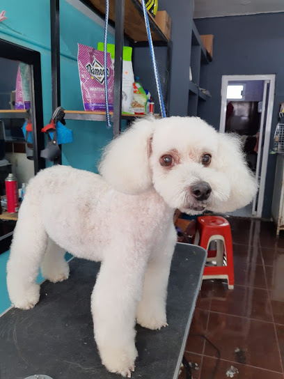 ClĂnica Veterinaria Spacio Animal