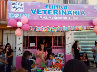 Negocio Clinica Veterinaria Toim