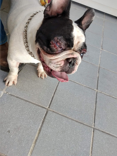 Negocio Clinica Veterinaria Vet Pet