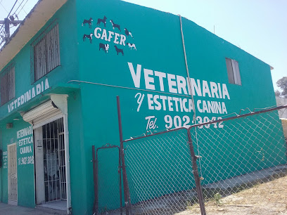 Clínica Veterinaria Y Estética Canina Gafer