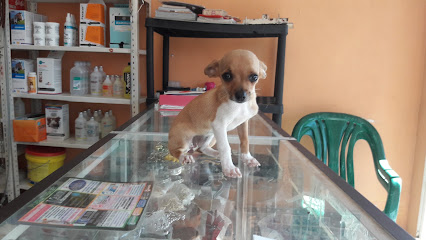 Clinica Veterinaria