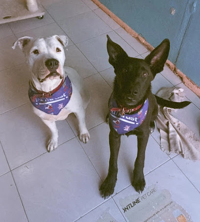 Clinica Veterinario &Quot;Derio&Quot;