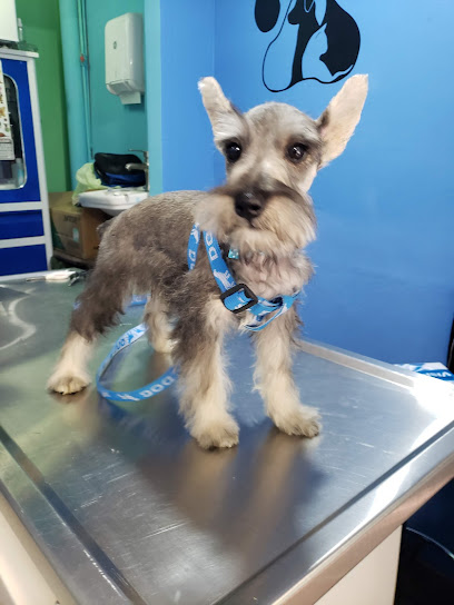Negocio Clínica Y Estetica Veterinaria Petclub