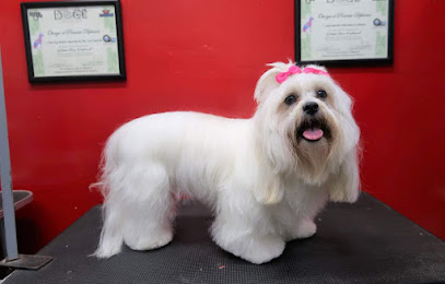 ClĂnica Y EstĂ©tica Veterinaria Sapos (Masterpets)