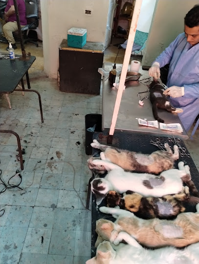Clinica Y Farmacia Veterinaria &Quot;Daktari&Quot;1