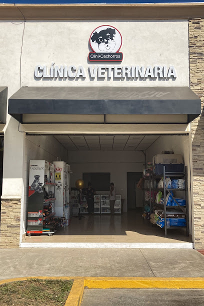 Negocio Clinicachorros Akishino