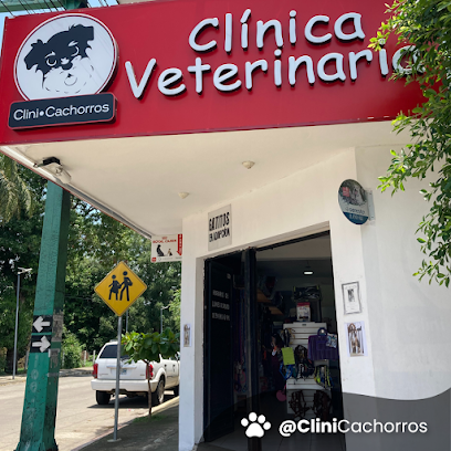 Negocio Clinicachorros Norte