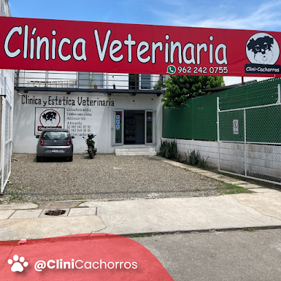 Negocio Clinicachorros Sur