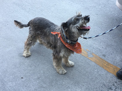 Coco´s Estetica Canina