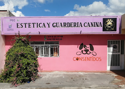 Consentidos Estetica Y Guarderia Canina