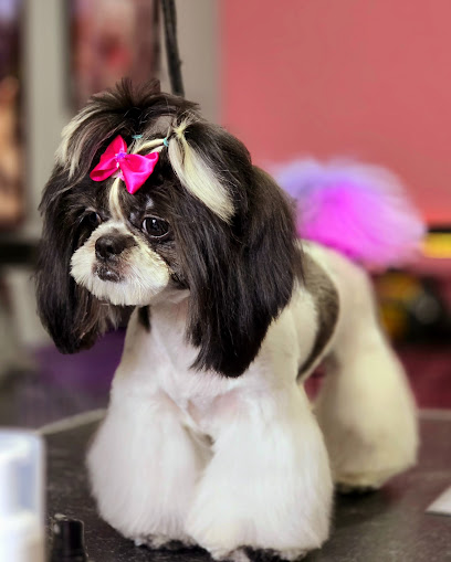 Negocio Consentidos Salón Canino